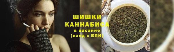 ECSTASY Белокуриха