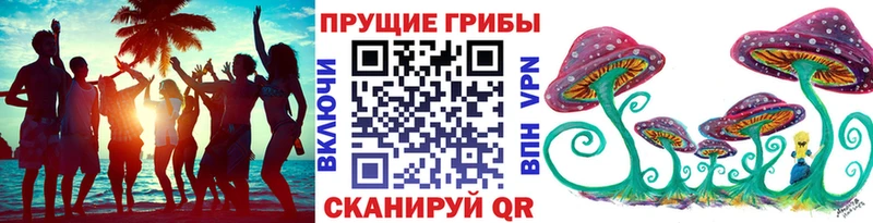 darknet какой сайт  Тотьма  Галлюциногенные грибы GOLDEN TEACHER  купить наркотик 
